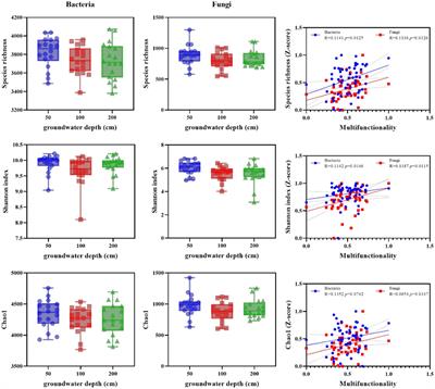 Impact of altered groundwater depth on soil microbial diversity, network complexity and multifunctionality